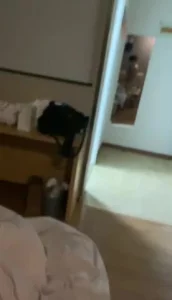 花开淡墨痕新浪下载